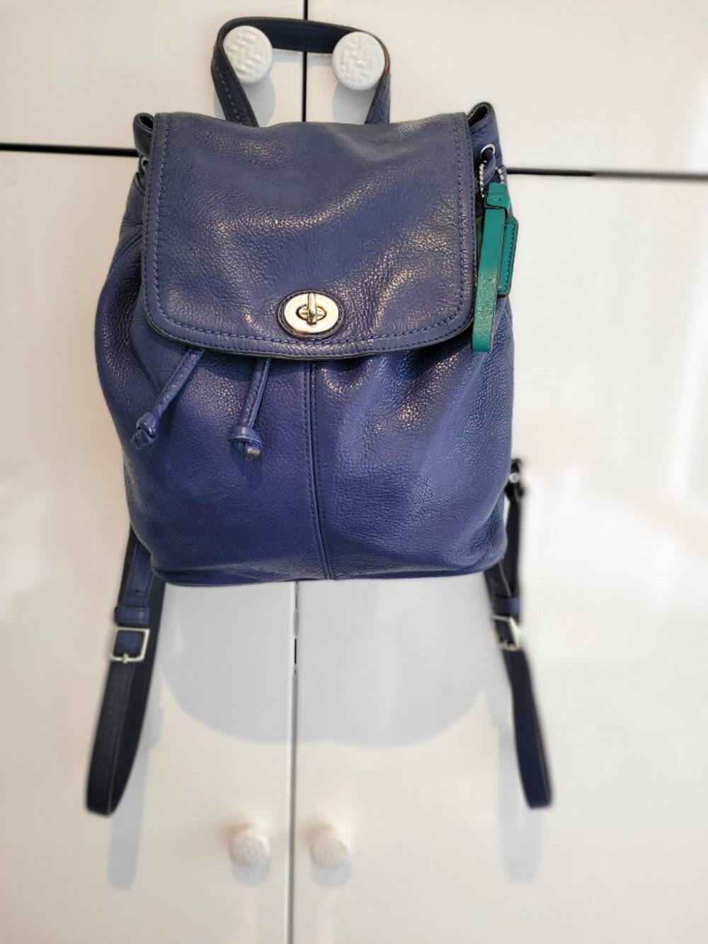 Coach Park Pebbled Leather Backpack (Style F24385) French Blue with Royal Teal